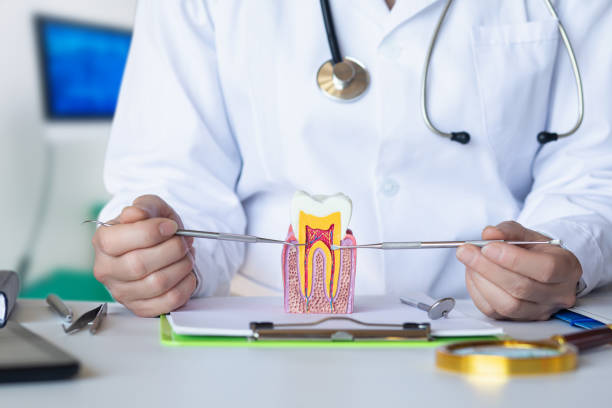 Best Emergency Wisdom Tooth Extraction in Strodes Mills, PA